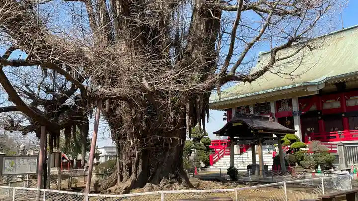 千葉寺(千葉県)