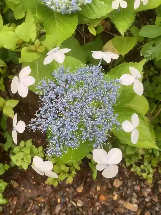 玉野御嶽神社の自然