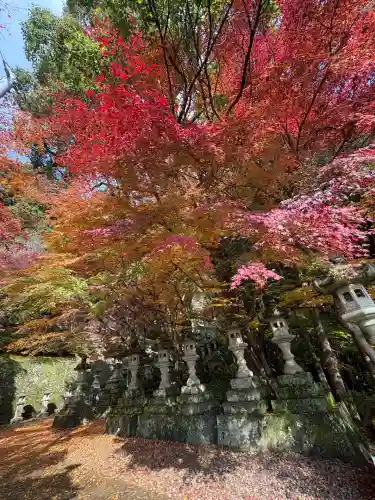 箸蔵寺(徳島県)