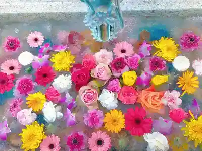 札幌諏訪神社の手水舎