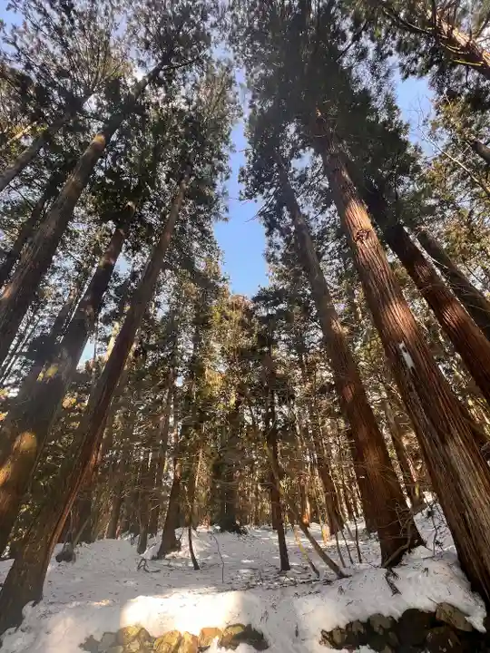 平泉寺白山神社の周辺