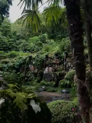 護国寺の{uncategorized: "未分類", other: "その他", undefined: "問題あり", building: "その他建物", grave: "お墓", sacred_gate: "鳥居", guardian: "狛犬", statue: "像", buddha: "仏像", history: "歴史", nature: "自然", garden: "庭園", animal: "動物", pagoda: "塔", temizu: "手水舎", mountain_gate: "山門・神門", sanctuary: "本殿・本堂", subordinate: "末社・摂社", art: "芸術", scenery: "景色", jizo: "地蔵", ema: "絵馬", goshuin: "御朱印", omikuji: "おみくじ", items: "授与品その他", amulet: "お守り", goshuincho: "御朱印帳", eats: "食事", festival: "お祭り", votive_dance: "神楽", shichigosan: "七五三参", wedding: "結婚式", experience: "体験その他", initially: "初詣", around: "周辺", anti_infection: "感染症対策"}
