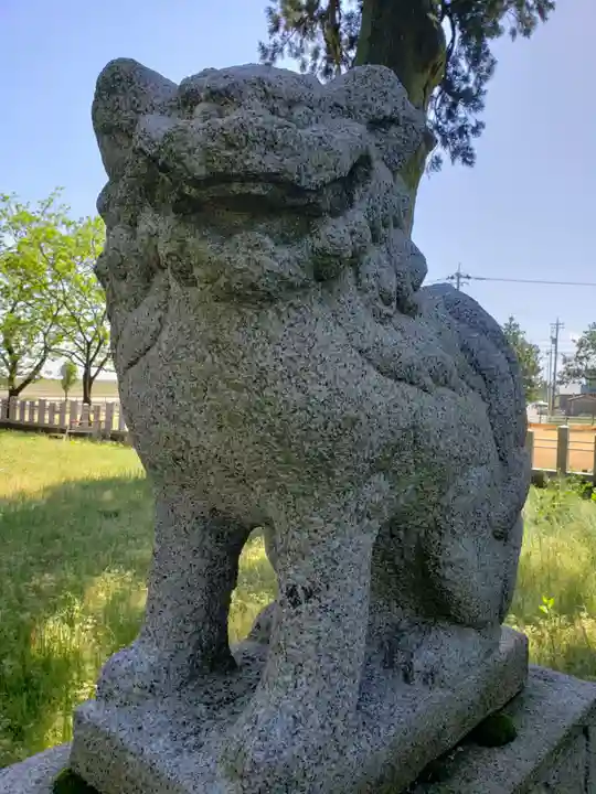 吉住熊野神社の狛犬