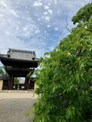道明寺(大阪府)