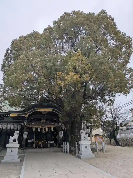 石津神社(大阪府)