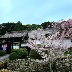 本興寺(静岡県)