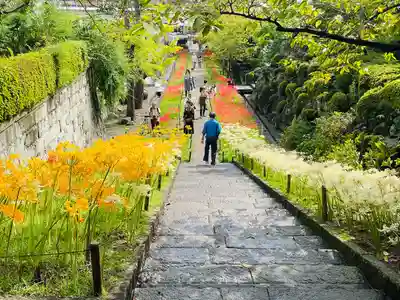 横浜　西方寺(神奈川県)