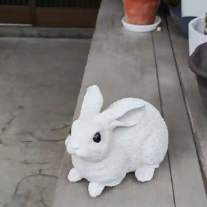 彌彦神社 (伊夜日子神社)の像
