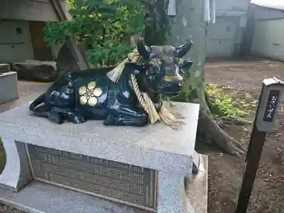 新井天神北野神社の狛犬