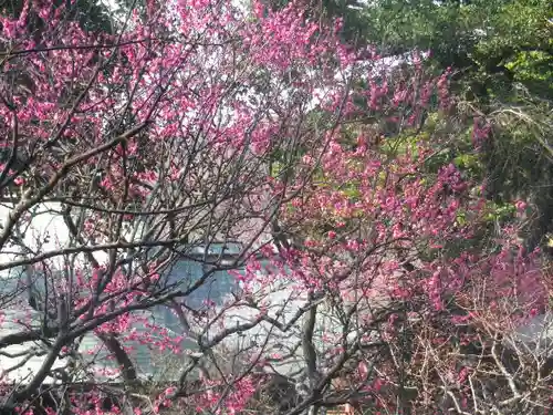 荏柄天神社の自然