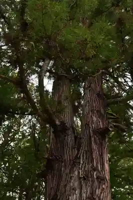 諏訪大社下社春宮(長野県)