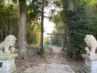 熊野神社の狛犬