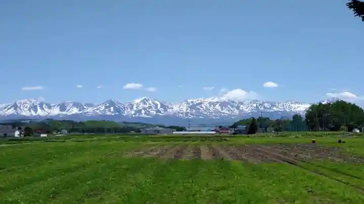美瑛神社の周辺