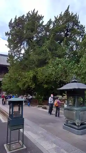 建長寺(神奈川県)