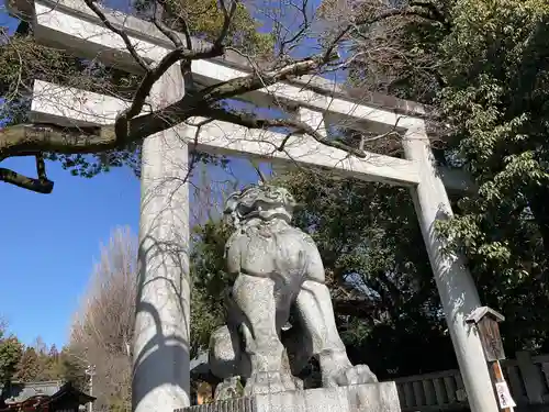 秩父神社の狛犬
