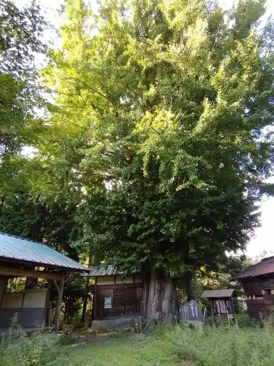 時瀬神明神社(愛知県)