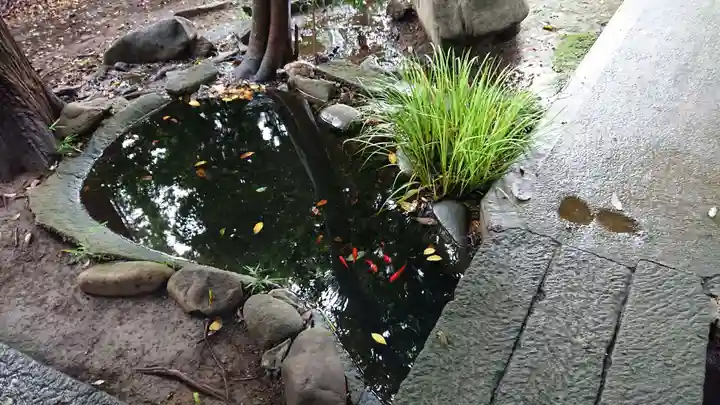 春日神社の庭園