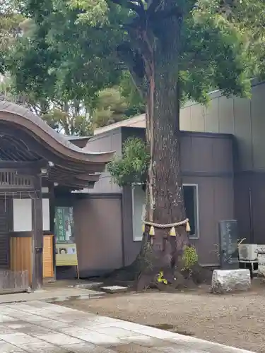 酒列磯前神社のその他建物