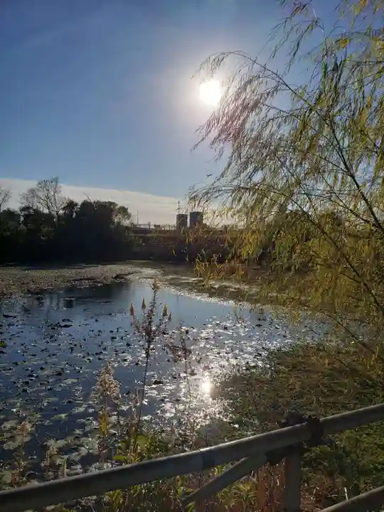 青龍神社の庭園