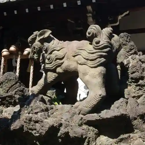 平塚神社の狛犬