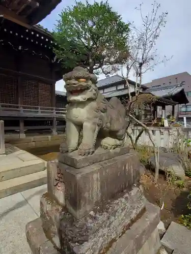 白山神社の狛犬