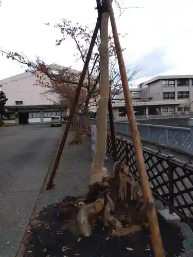 福井神社(福井県)