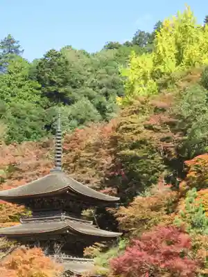 金剛院のその他建物