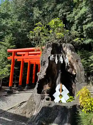 常磐神社(茨城県)