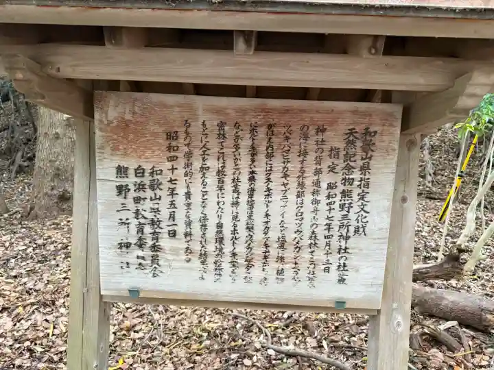 熊野三所神社の{uncategorized: "未分類", other: "その他", undefined: "問題あり", building: "その他建物", grave: "お墓", sacred_gate: "鳥居", guardian: "狛犬", statue: "像", buddha: "仏像", history: "歴史", nature: "自然", garden: "庭園", animal: "動物", pagoda: "塔", temizu: "手水舎", mountain_gate: "山門・神門", sanctuary: "本殿・本堂", subordinate: "末社・摂社", art: "芸術", scenery: "景色", jizo: "地蔵", ema: "絵馬", goshuin: "御朱印", omikuji: "おみくじ", items: "授与品その他", amulet: "お守り", goshuincho: "御朱印帳", eats: "食事", festival: "お祭り", votive_dance: "神楽", shichigosan: "七五三参", wedding: "結婚式", experience: "体験その他", initially: "初詣", around: "周辺", anti_infection: "感染症対策"}