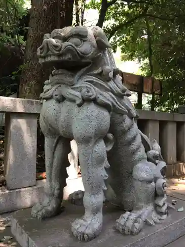 渋谷氷川神社の狛犬