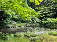 南禅院の庭園