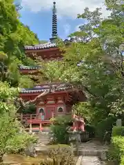 三室戸寺(京都府)