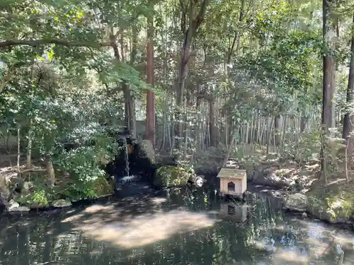 天授庵の庭園