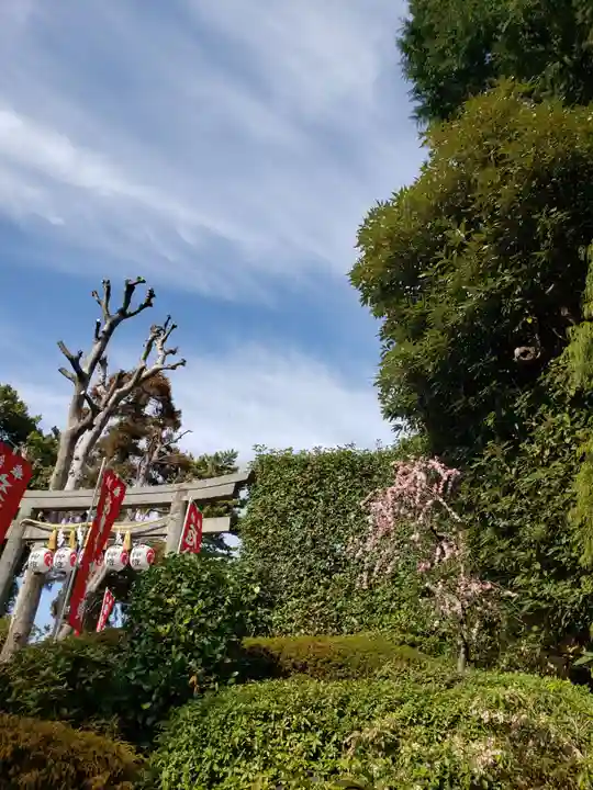 中野沼袋氷川神社(東京都)