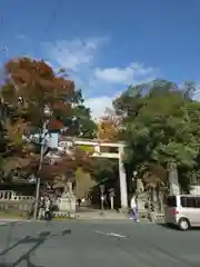 秩父神社(埼玉県)