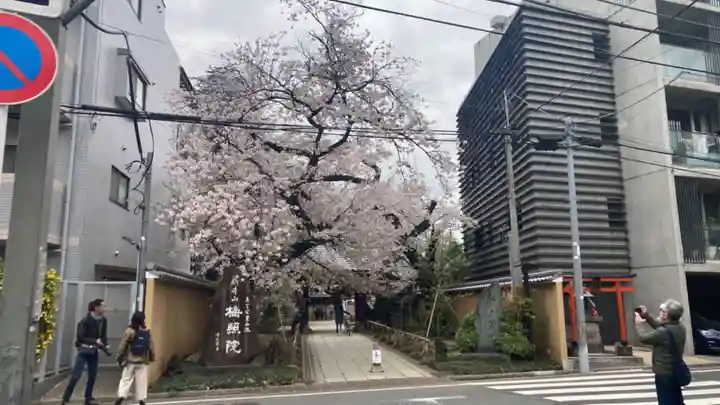 新井薬師(梅照院)(東京都)