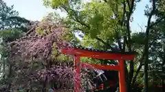 城南宮の鳥居