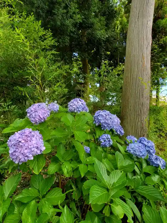 隠津島神社(福島県)