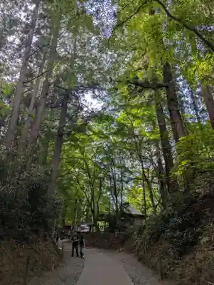 中尊寺(岩手県)