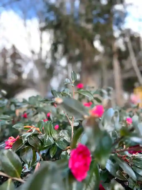 縣諏訪神社(長野県)