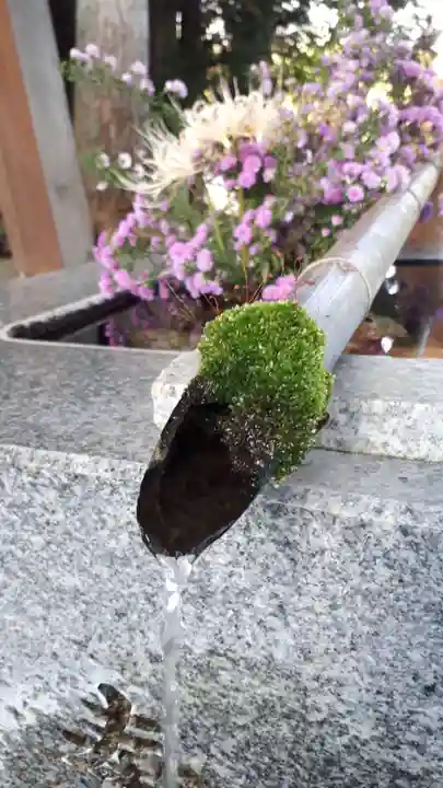 高司神社〜むすびの神の鎮まる社〜(福島県)