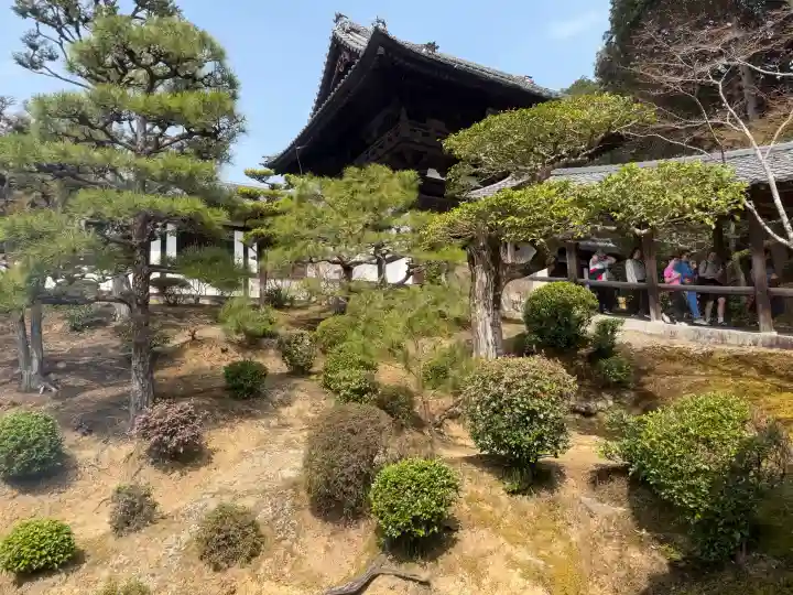 東福禅寺(東福寺)の{uncategorized: "未分類", other: "その他", undefined: "問題あり", building: "その他建物", grave: "お墓", sacred_gate: "鳥居", guardian: "狛犬", statue: "像", buddha: "仏像", history: "歴史", nature: "自然", garden: "庭園", animal: "動物", pagoda: "塔", temizu: "手水舎", mountain_gate: "山門・神門", sanctuary: "本殿・本堂", subordinate: "末社・摂社", art: "芸術", scenery: "景色", jizo: "地蔵", ema: "絵馬", goshuin: "御朱印", omikuji: "おみくじ", items: "授与品その他", amulet: "お守り", goshuincho: "御朱印帳", eats: "食事", festival: "お祭り", votive_dance: "神楽", shichigosan: "七五三参", wedding: "結婚式", experience: "体験その他", initially: "初詣", around: "周辺", anti_infection: "感染症対策"}