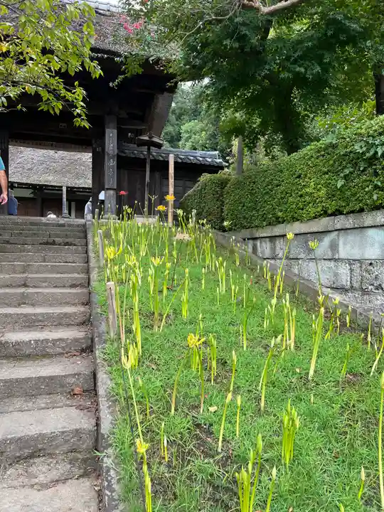 横浜 西方寺(神奈川県)