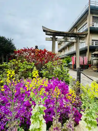 六孫王神社(京都府)