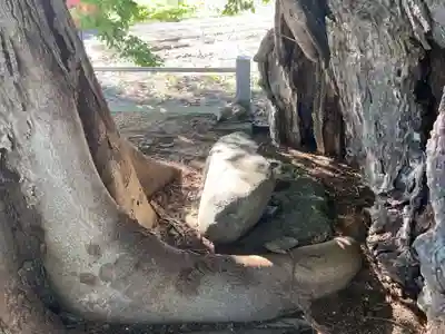 多祁御奈刀弥神社(徳島県)