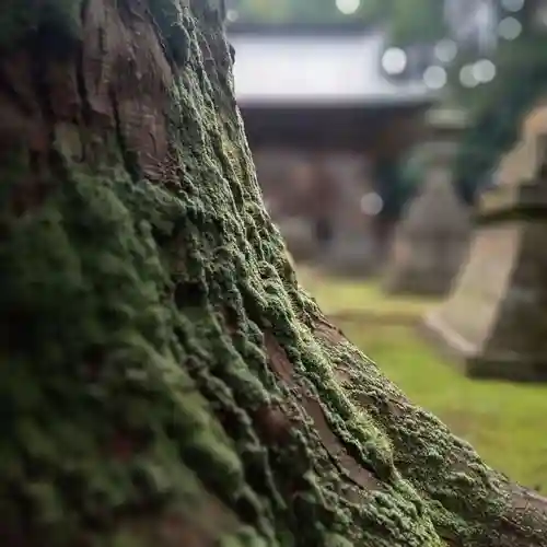 安波賀春日神社(福井県)