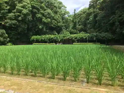 猿田彦神社の庭園