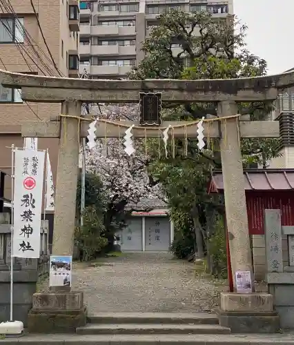 秋葉神社の{uncategorized: "未分類", other: "その他", undefined: "問題あり", building: "その他建物", grave: "お墓", sacred_gate: "鳥居", guardian: "狛犬", statue: "像", buddha: "仏像", history: "歴史", nature: "自然", garden: "庭園", animal: "動物", pagoda: "塔", temizu: "手水舎", mountain_gate: "山門・神門", sanctuary: "本殿・本堂", subordinate: "末社・摂社", art: "芸術", scenery: "景色", jizo: "地蔵", ema: "絵馬", goshuin: "御朱印", omikuji: "おみくじ", items: "授与品その他", amulet: "お守り", goshuincho: "御朱印帳", eats: "食事", festival: "お祭り", votive_dance: "神楽", shichigosan: "七五三参", wedding: "結婚式", experience: "体験その他", initially: "初詣", around: "周辺", anti_infection: "感染症対策"}