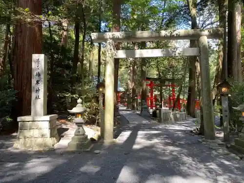 椿大神社の建物その他