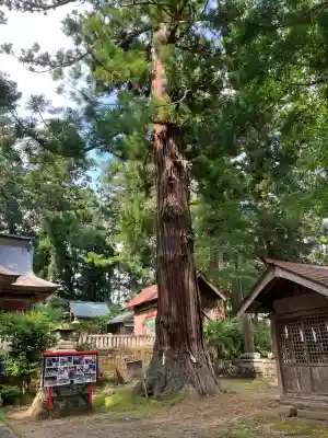 近津神社(茨城県)